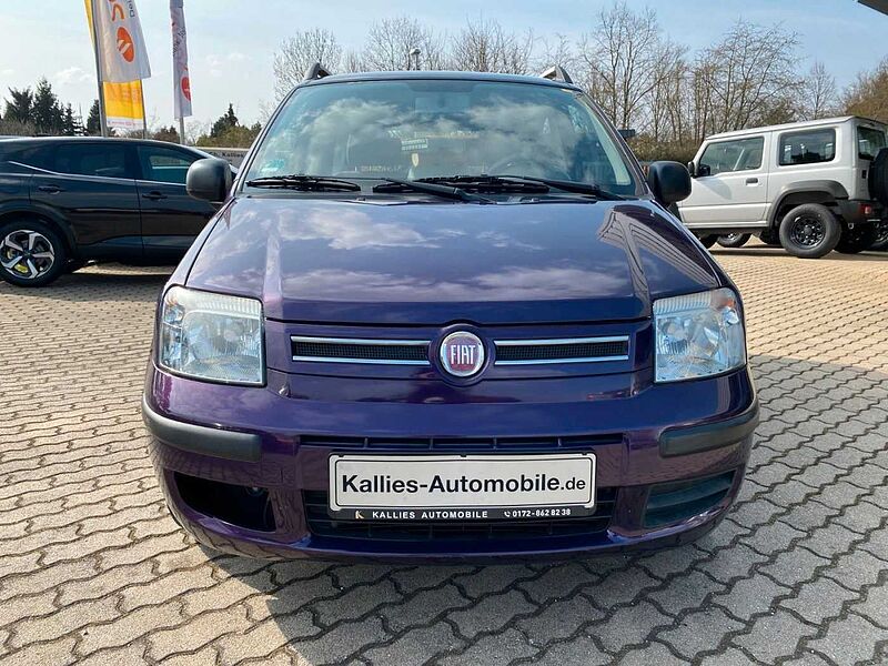 Fiat Panda 1.2 8V Dynamic RADIO+KLIMA+2VORB+TÜV-NEU